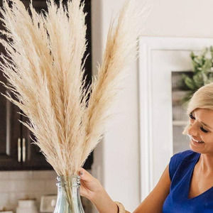 Boho Wedding Decor | 5 Stems Medium Pampas Grass